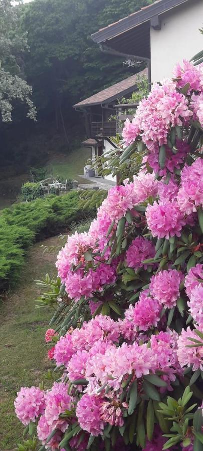 Casa Birtukan Holiday home *